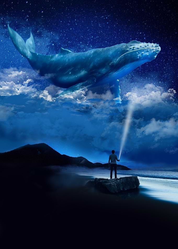 Whale Tales
