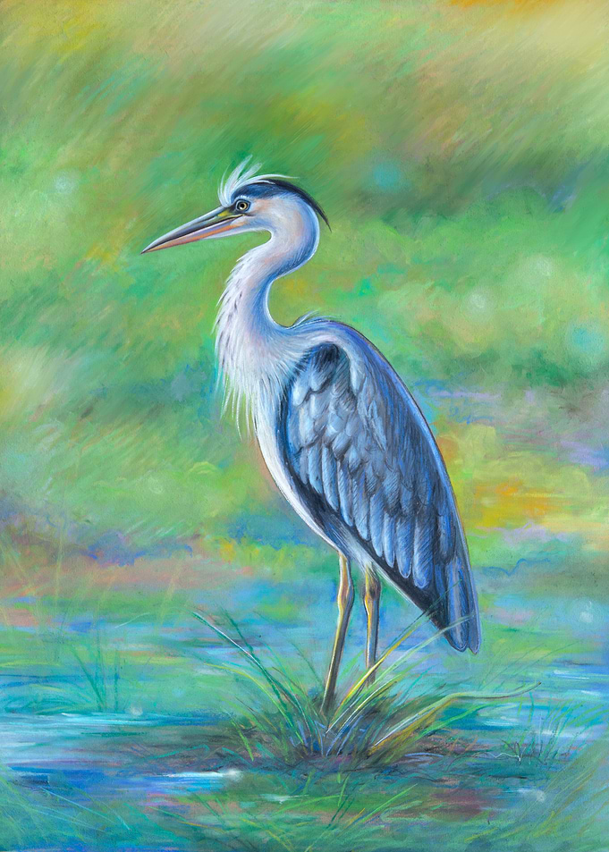 Pastel birds great egret
