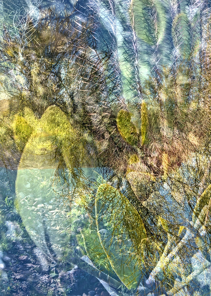 Bursting Through With Life