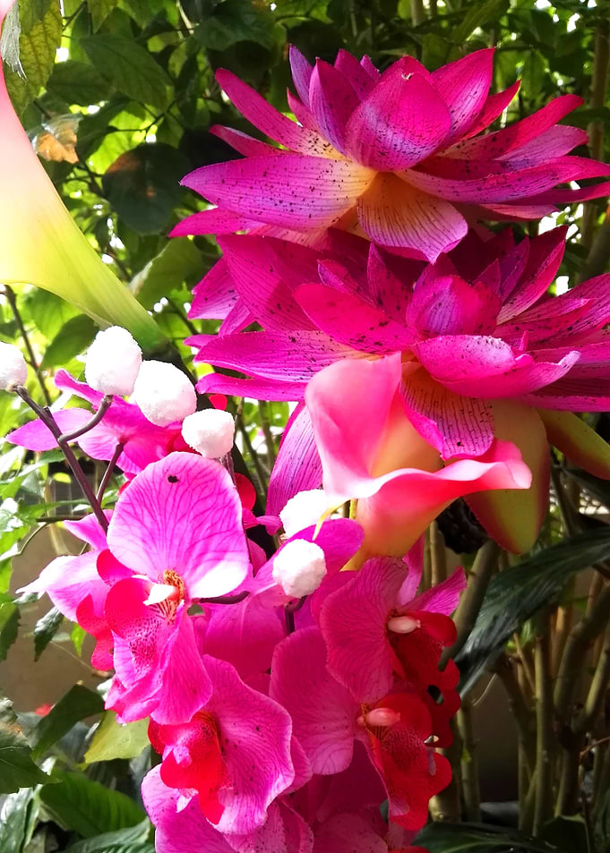 Pink flowers