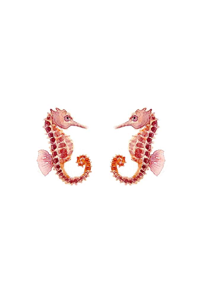 Two Beautiful Seahorses