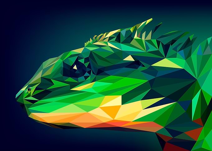 Abstract Lizard