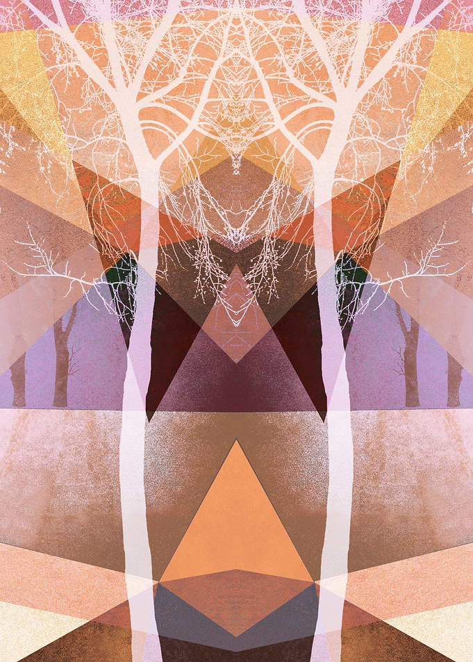 TREES INTO GEOMETRIC WOLRD