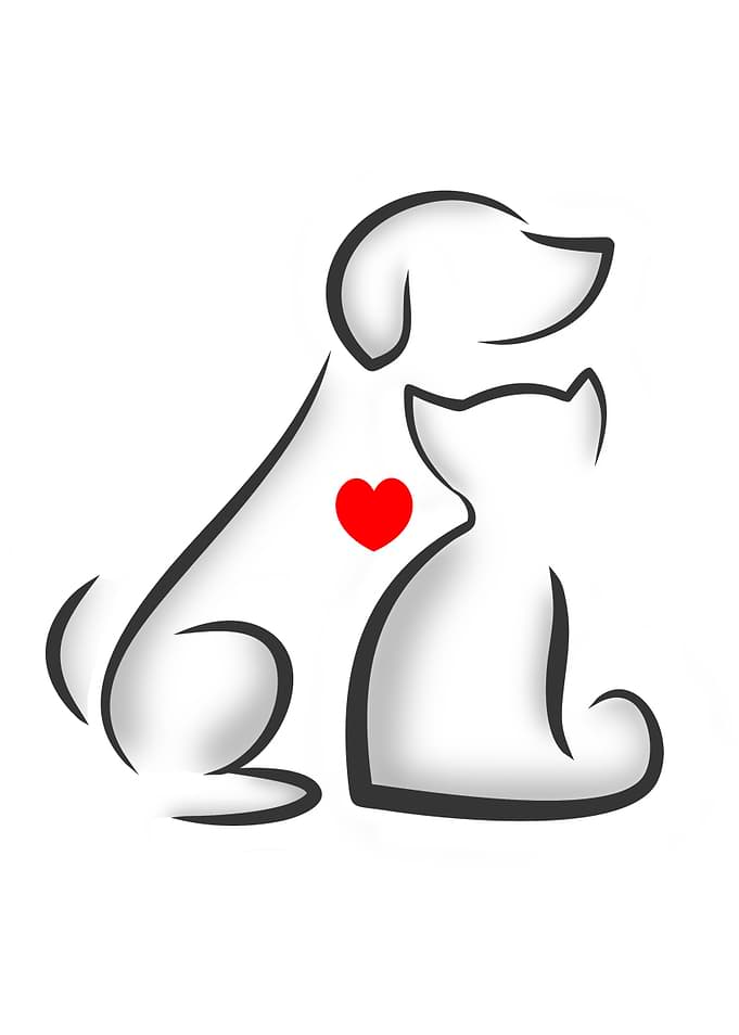 ANIMAL LOVE