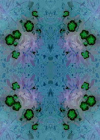 Starblossom Burst