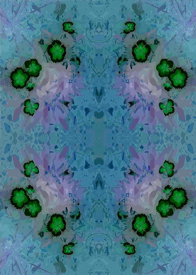 Starblossom Burst