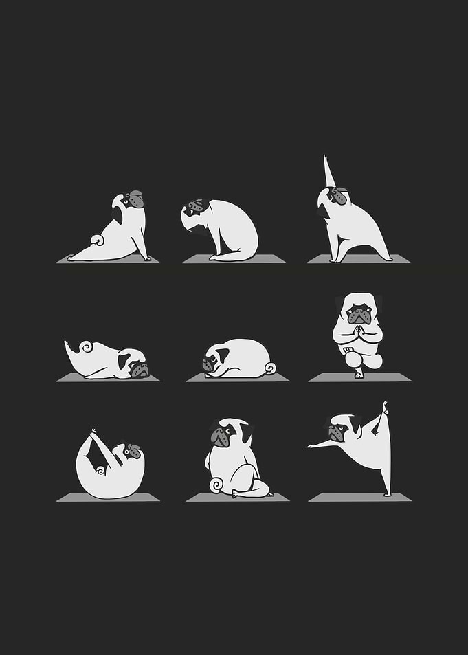 Pug Yoga BW