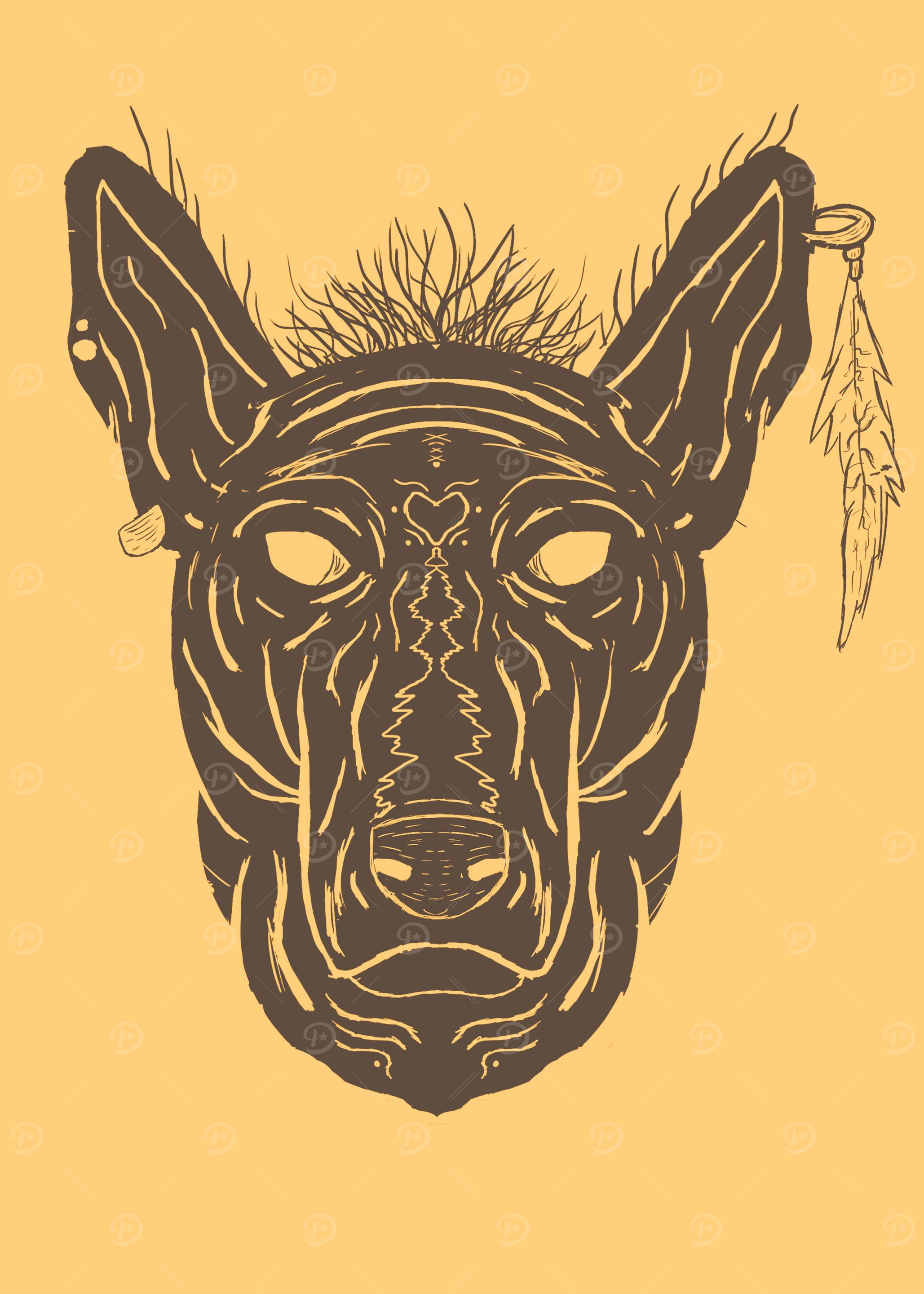 Xolo