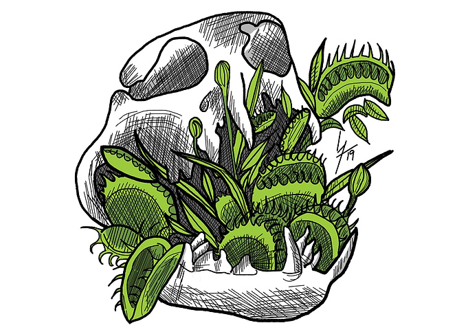 Venus Flytrap Skull