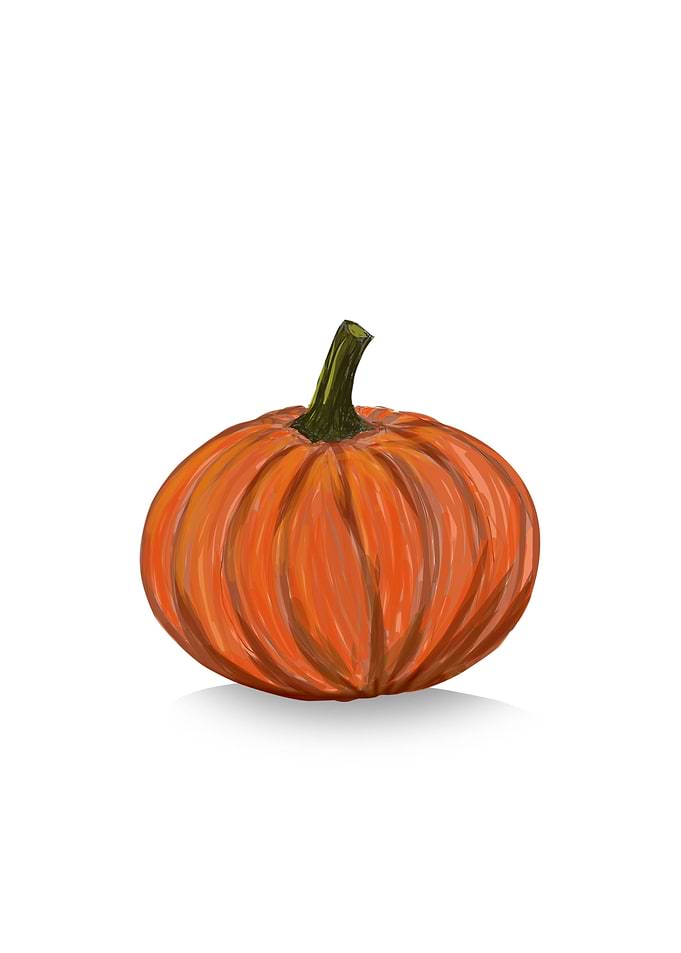 pumpkin on white line art