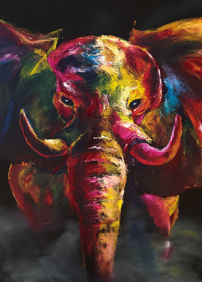 Elephant Wild Colors