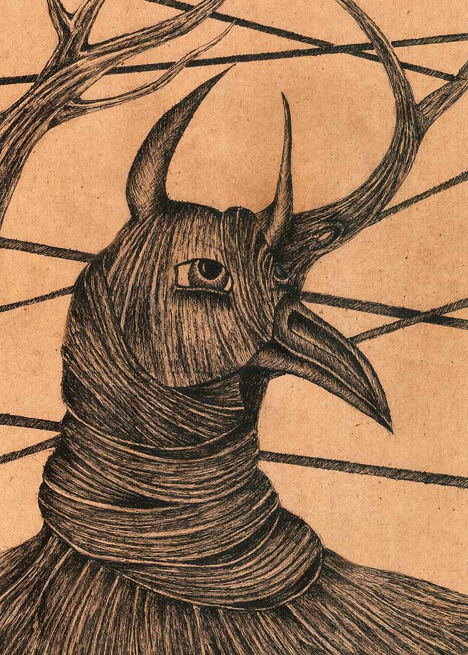 Bird
