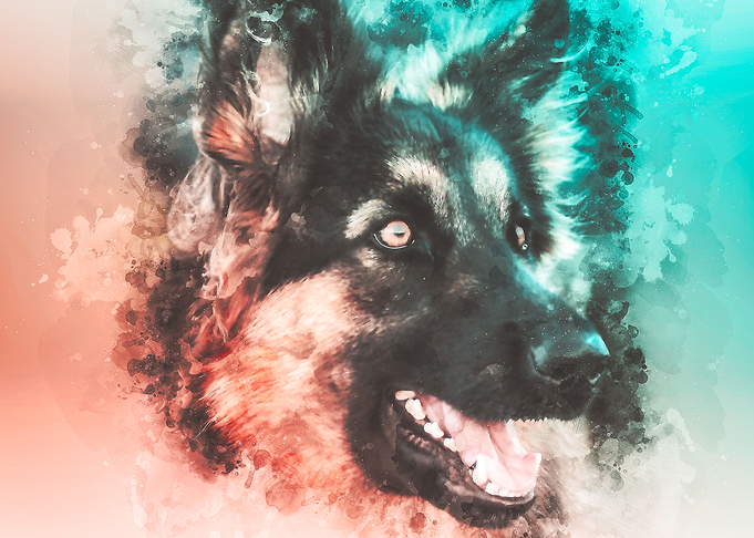 German Shepherd Watercolor