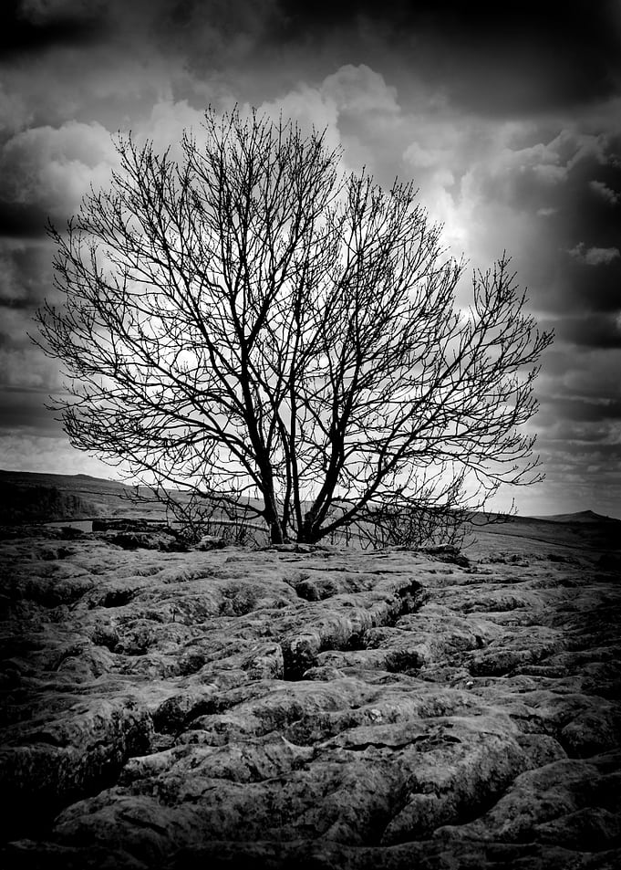 Alone on the Edge