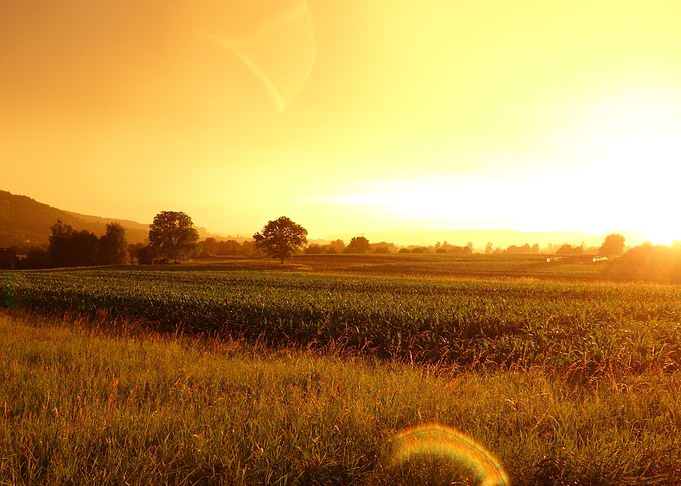 landscape