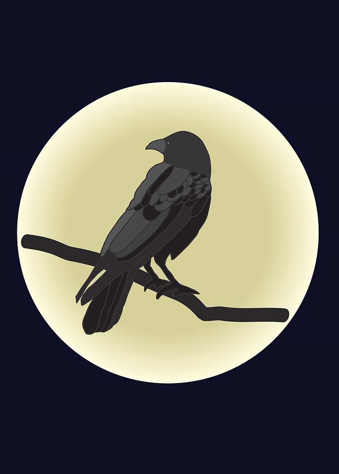 The Crow