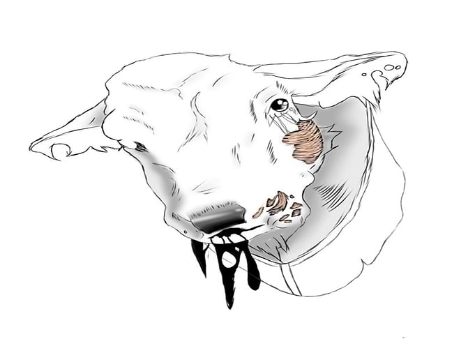 Zombie Cow