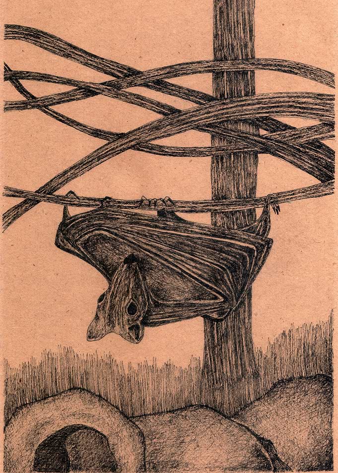 Bat