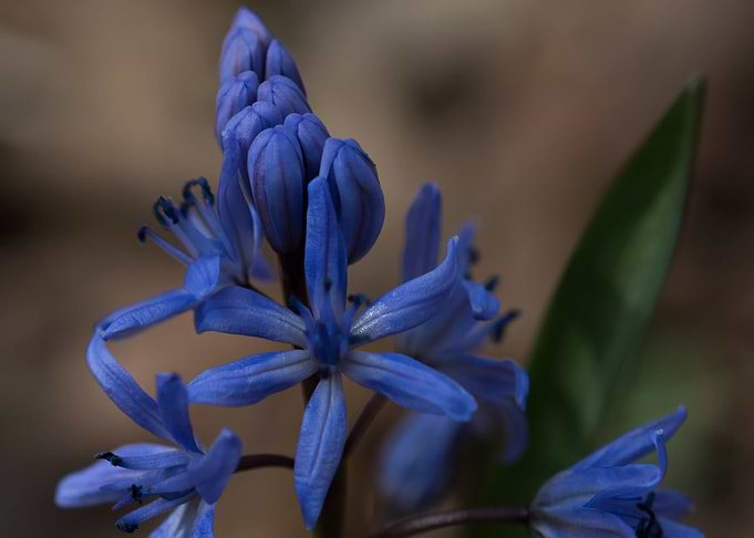 Spring is here