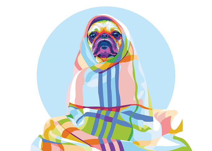COLORFUL PUG DOG