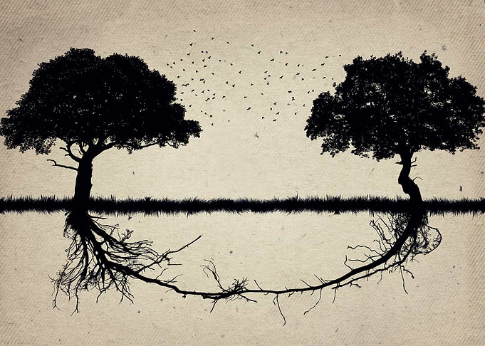 nature works together