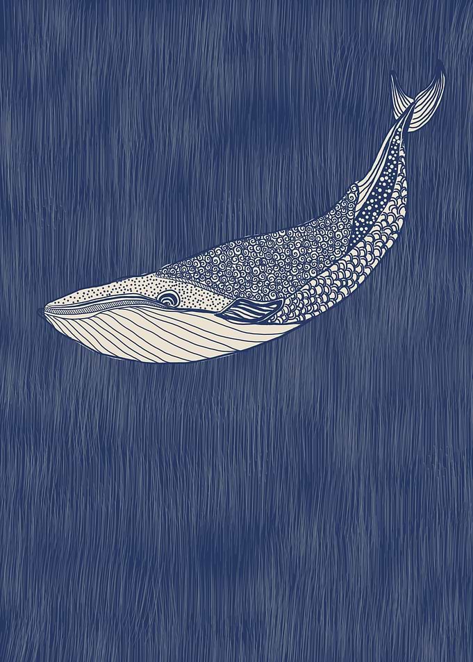 whale of hope
