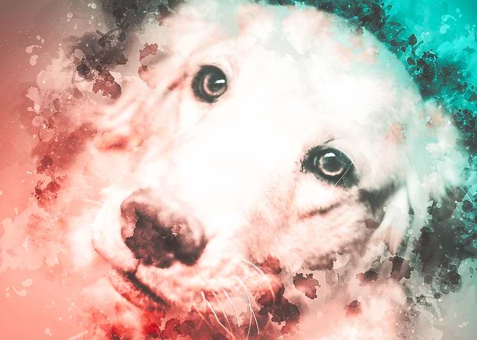 Golden Retriever Painting