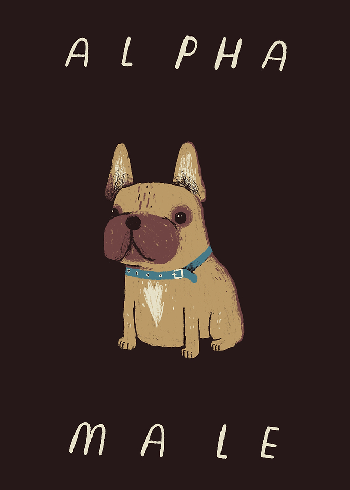 alpha frenchie