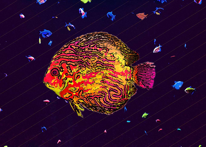 Neon Tropical