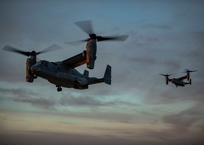 Ospreys