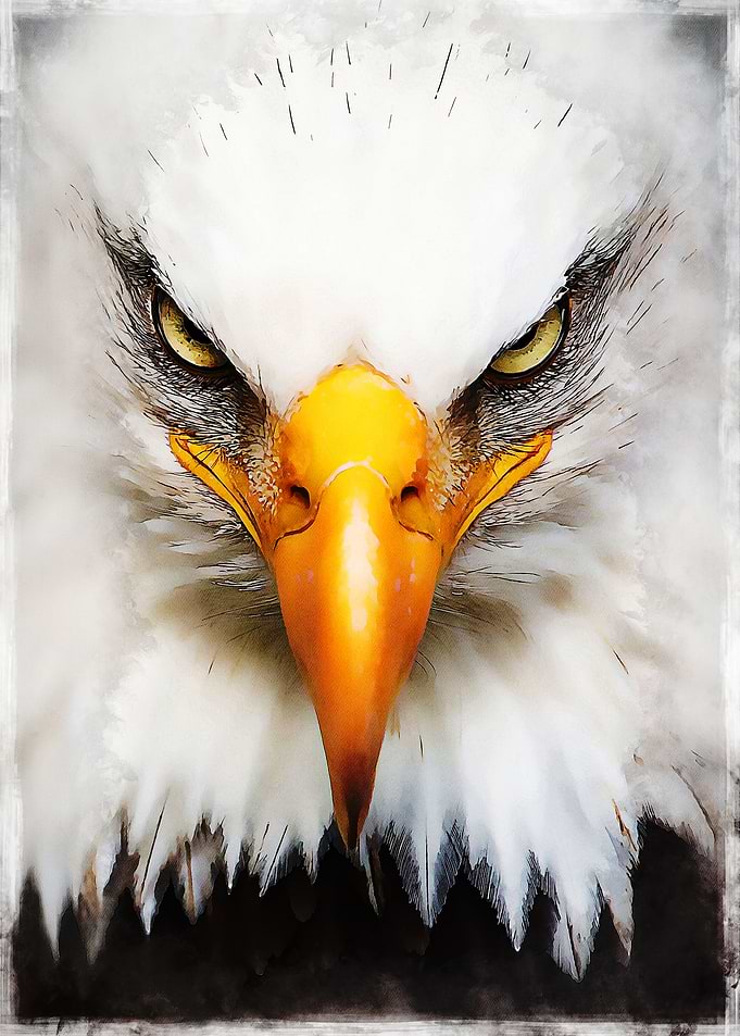 Eagle 7