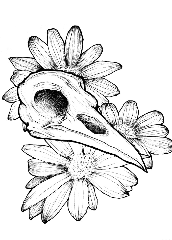 Crow