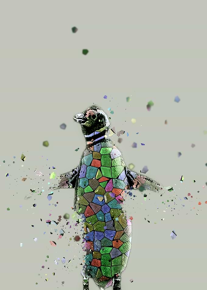 la mosaique du manchot I