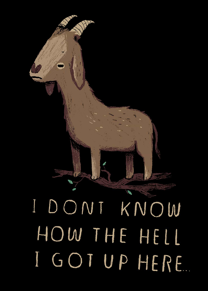 the mystery of goats