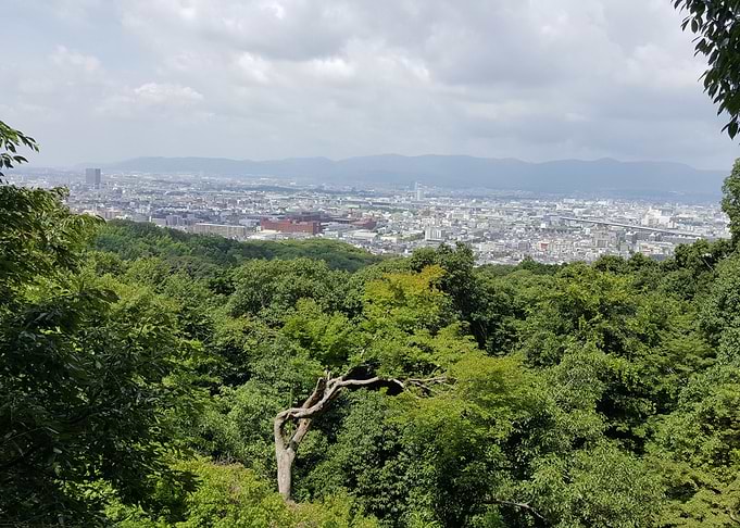 Kyoto from Mount Inari
