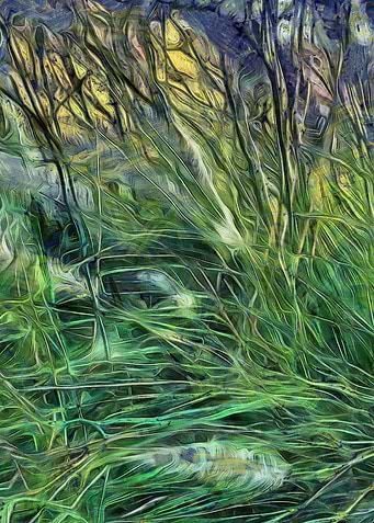 Grass 2