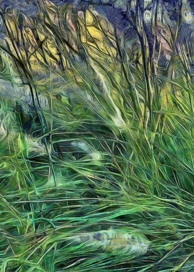 Grass 2