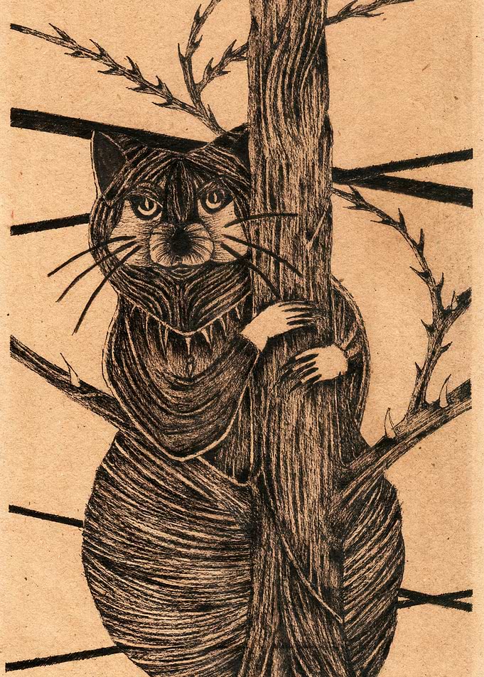 Raccoon