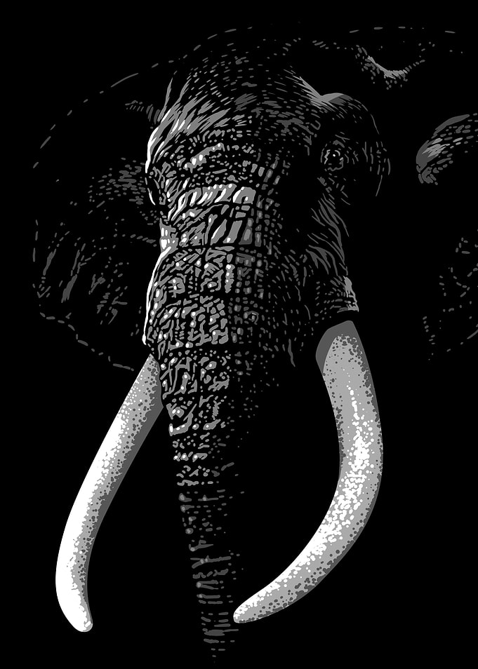 Elegant Elephant