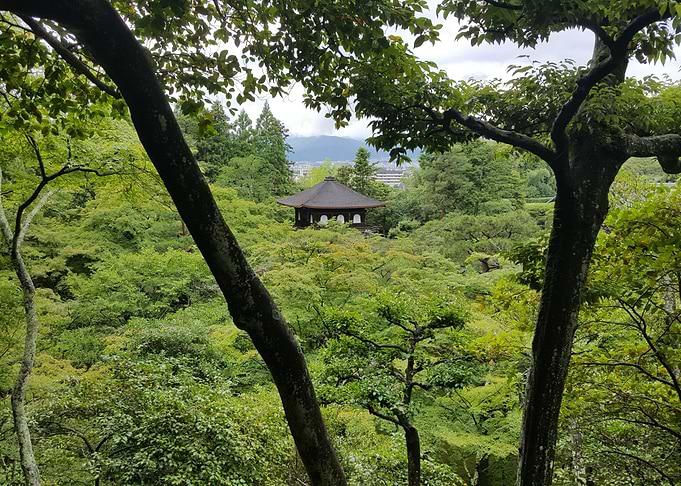 The Silver Pavilion