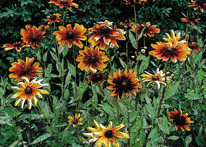 Plastic flowers