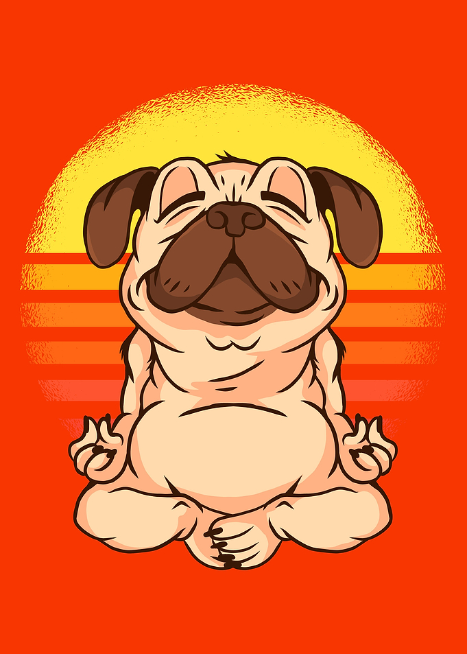 Yoga pug