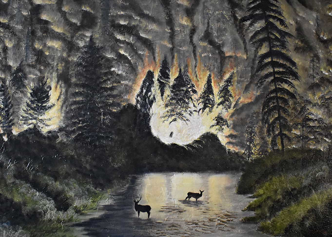 Fire In The Forest