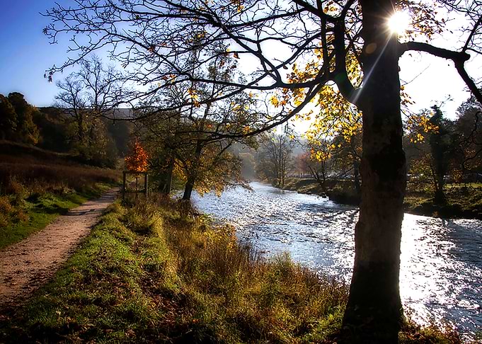 Riverbank