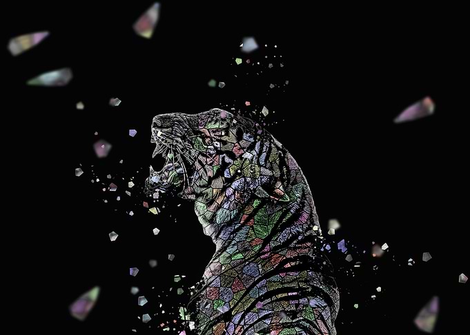 la mosaique du tigre