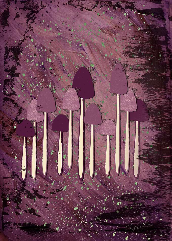 Night Mushrooms