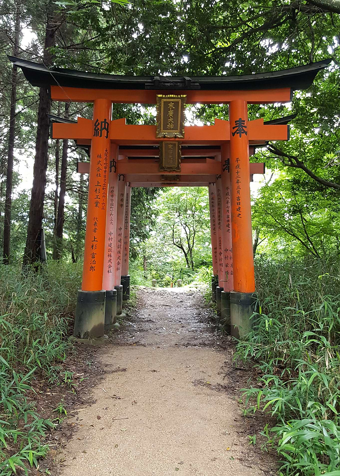 Lone Torii
