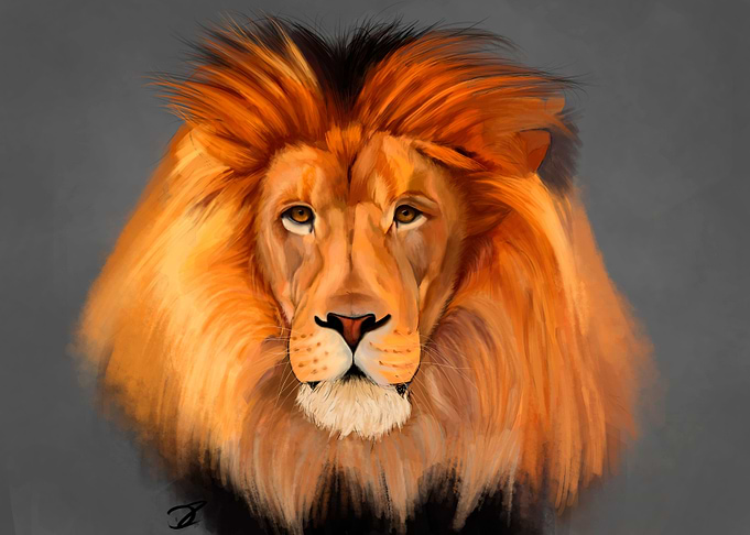 Loose Lion
