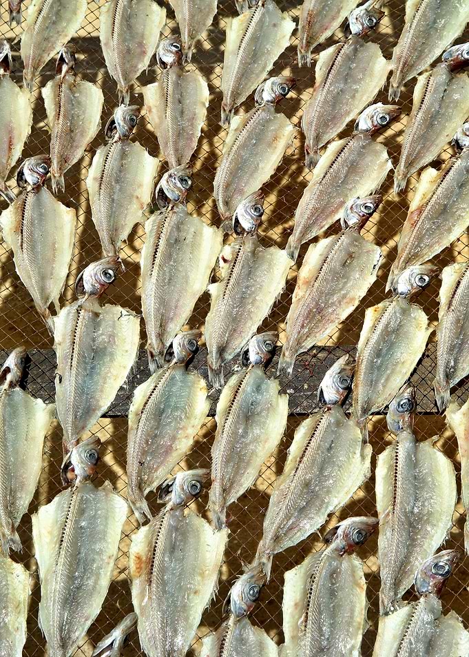 Sundried fish