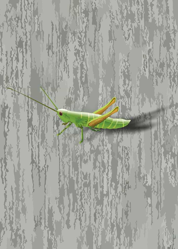 Pesky Locust